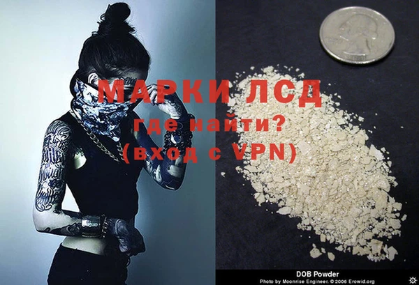 apvp Щигры