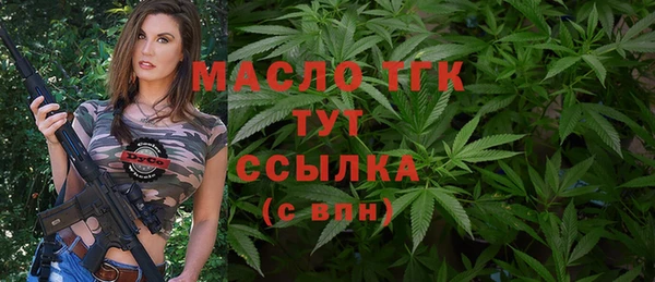 индика Долгопрудный