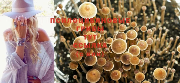 соль ск Новокубанск