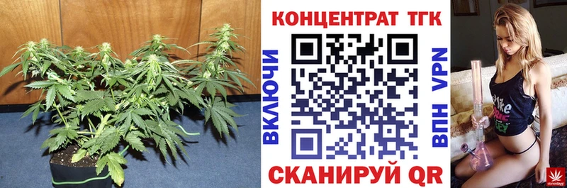 закладки  Наволоки  Дистиллят ТГК концентрат 